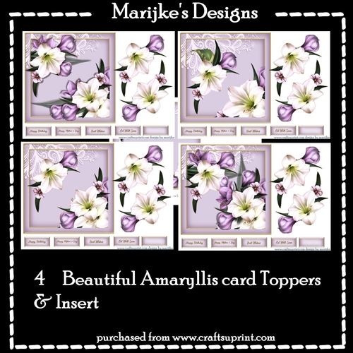 Beautiful Amaryllis  Toppers & Insert Kit