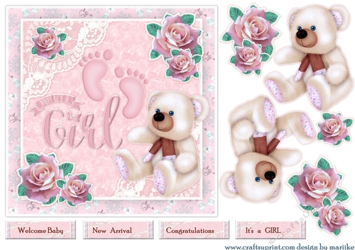 Cute baby Girl Quick Card