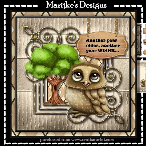 Male Card Wise Owl