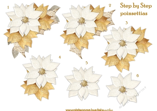 Step By Step Poinsettias