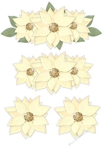 Step By Step  Cream  Poinsettias