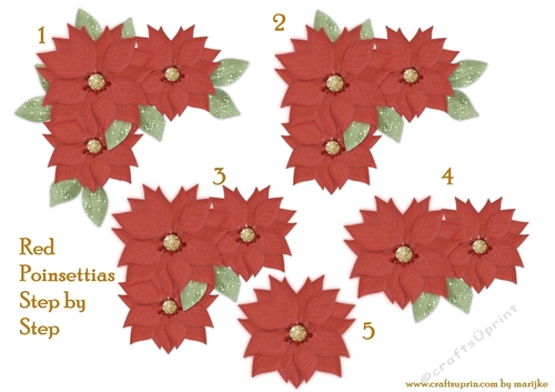 Step By Step  Red   Poinsettias