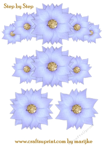 Step By Step  Blue Poinsettias
