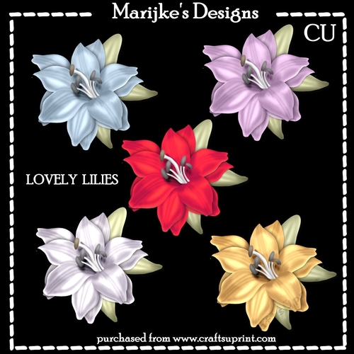 CU  Designer  Resources Lilies