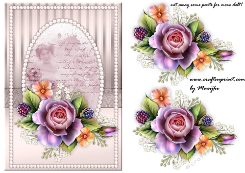 A5  English   Roses