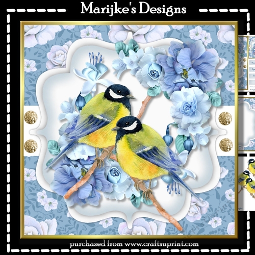 Beautiful Birds Mini Kit