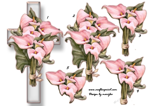 Sympathy Cross Callas 2