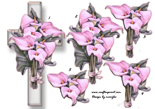 Sympathy Cross Callas 3