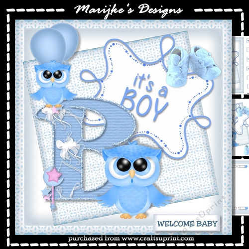 Cute Baby Owl     Mini  Kit