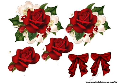 The Christmas Rose Step By Step