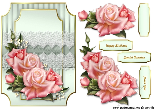 A5 Classic  Pink  Roses