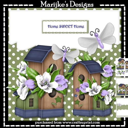 Envelop Card  New Home Birdhouses  Mini Kit