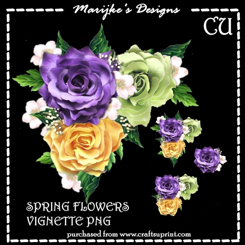 CU Beautiful Spring Flowers Vignette