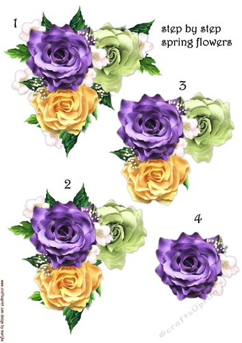 Step By Step Spring Flowers