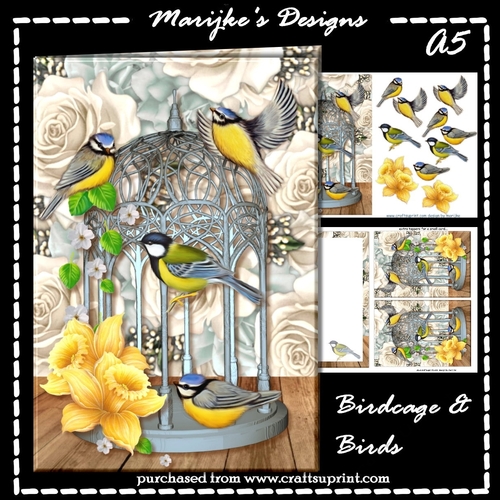 A5 Birdcage & Birds Mini Kit