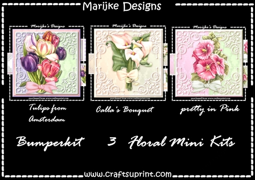 Bumperkit  Floral  Beautys