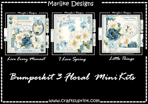 Bumperkit  Magnolias 