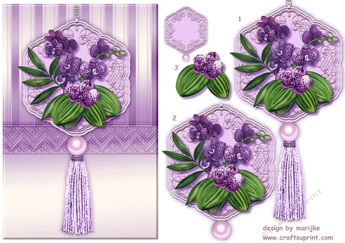 Orchids Beauty 3