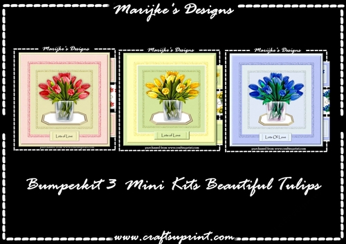 Bumperkit 3 Mini Kits Beautiful Tulips