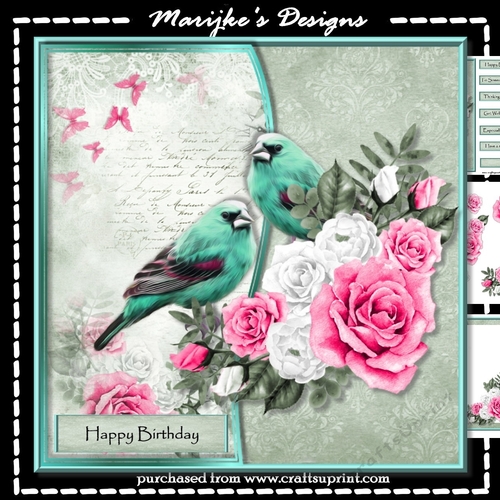 Birds &  Pink Roses Mini Kit