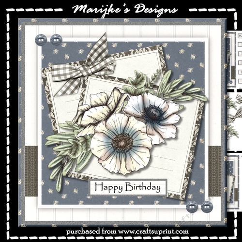 Birthday Anemones Mini Kit