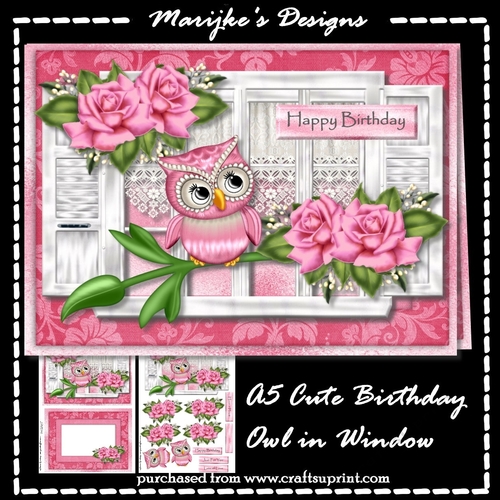 Cute Birthday Owl Mini Kit