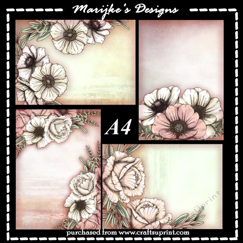 Kit Vintage Backgrounds Anemones