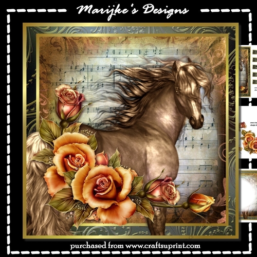 Male  Card  Beautiful Horse Mini Kit