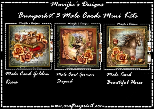 Bumperkit Male Cards Golden Roses
