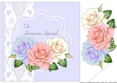 Quick Card  Mixed  Roses