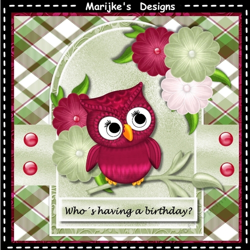 Cute Owl Mini Kit