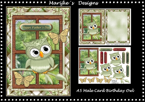 A5  Male Card Birthday Owl