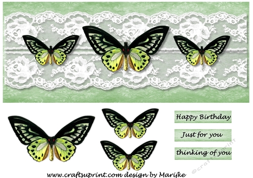 Large DL Card  Vintage Butterflies
