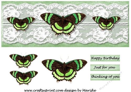 Large DL Card  Vintage Butterflies 2