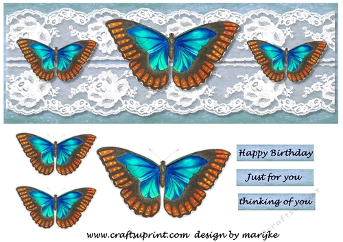 Large DL Card  Vintage Butterflies 4