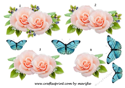 Step By Step Pretty Roses