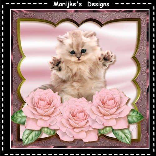 Lovely  Roses   & Cute KittenMini Kit