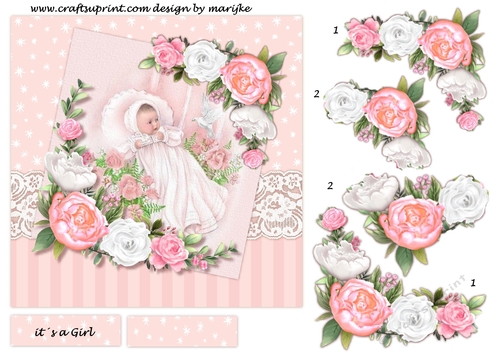 Vintage baby Girl & Roses 