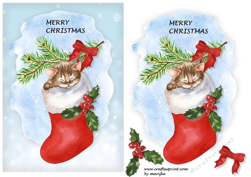 Christmas Gift Quick Card 