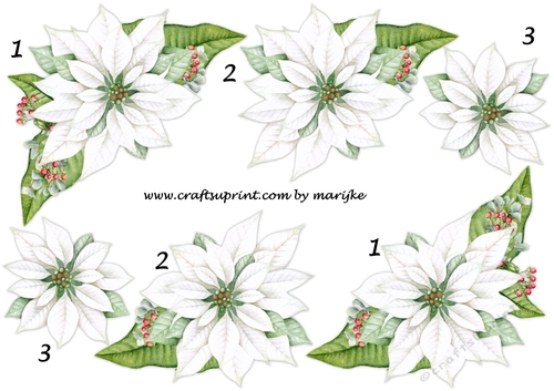 Christmas Poinsettias Step By Step