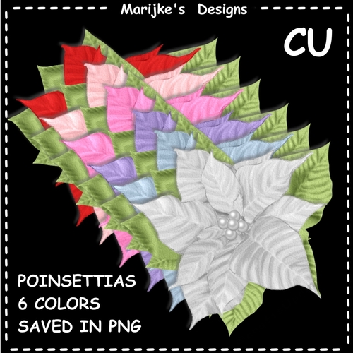 Cu Poinsettias 6 Colors PNG