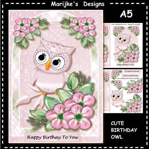 Cute Birthday Owl Mini Kit