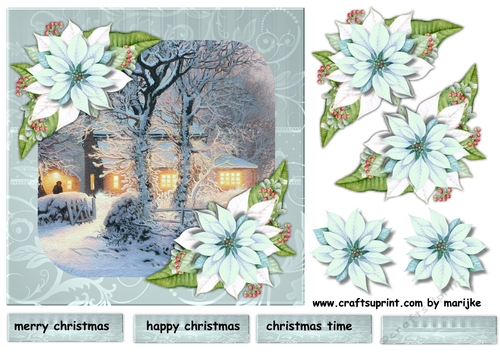 Snow Scene  Quick Card