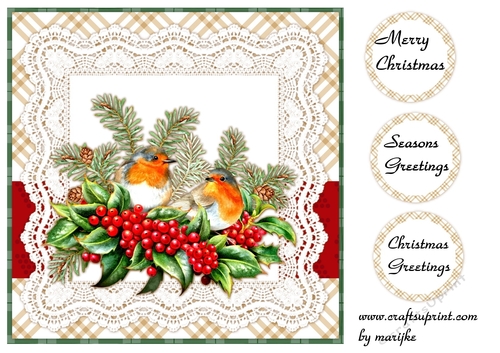 Quick Card  Christmas Robins