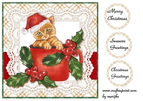 Quick Card  Christmas Kitten