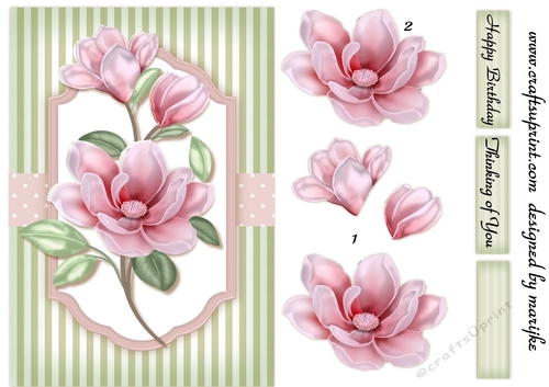 A5 Classic Magnolia´s 2