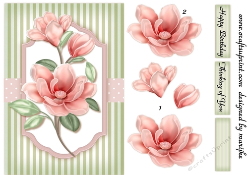 A5 Classic Magnolia´s 3