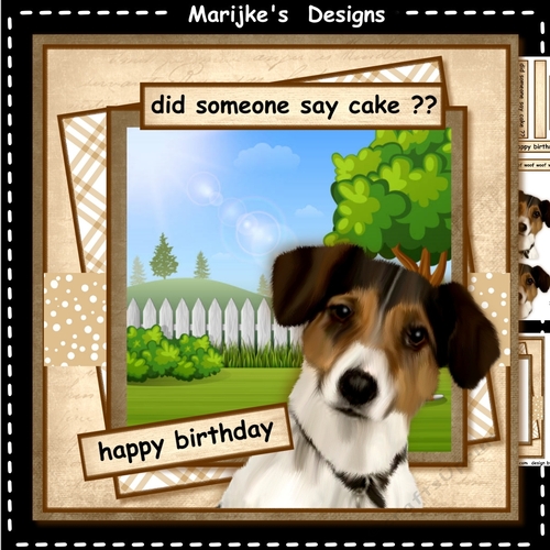 Male Card Dog
