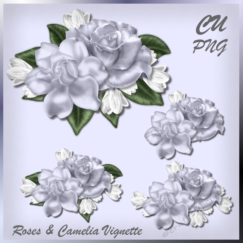 Roses & Camelia CU
