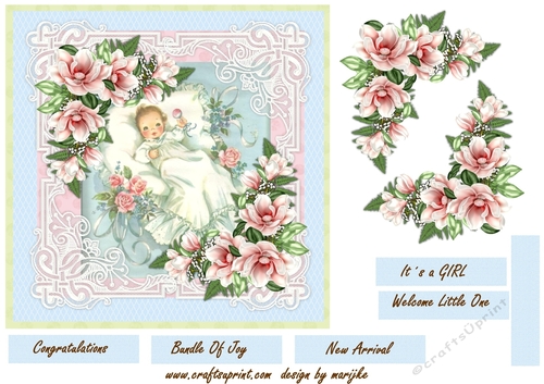 Quick card Vintage baby Girl 2